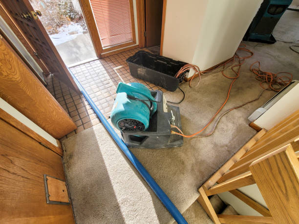Best Professional water damage repair  in Strodes Mills, PA